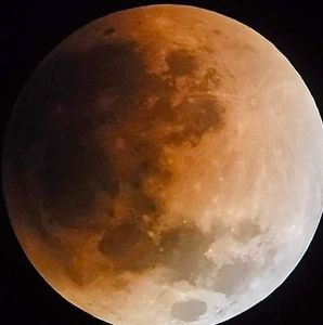 Meet your Posher, Adam